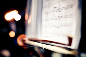IMG_2560-2