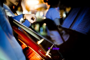 IMG_2446-2
