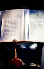 IMG_2554-2
