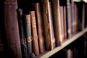 _MG_3969-2