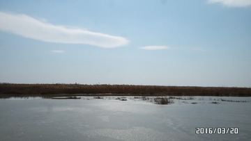 SAM_0591