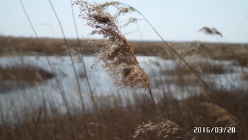 SAM_0601