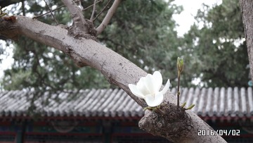 SAM_0821