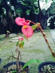 IMG_20171202_154228