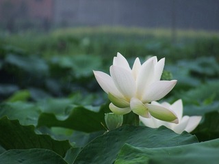 DSCF8813[1]