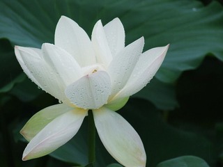 DSCF8821[1]