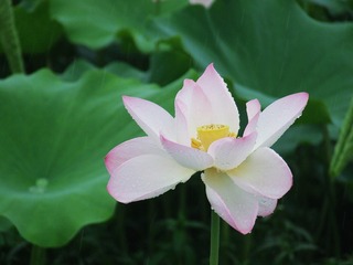 DSCF8829[1]
