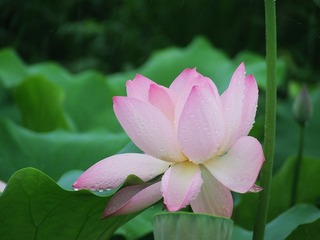 DSCF8830[1]