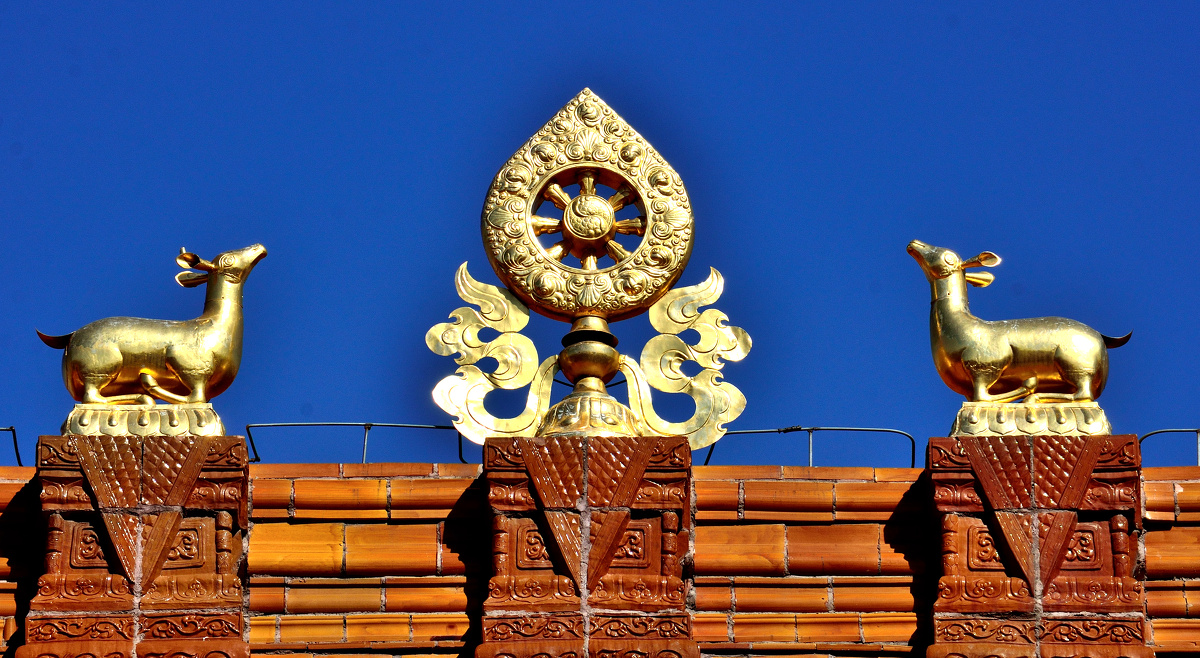 呼和浩特市大昭寺摄影随拍