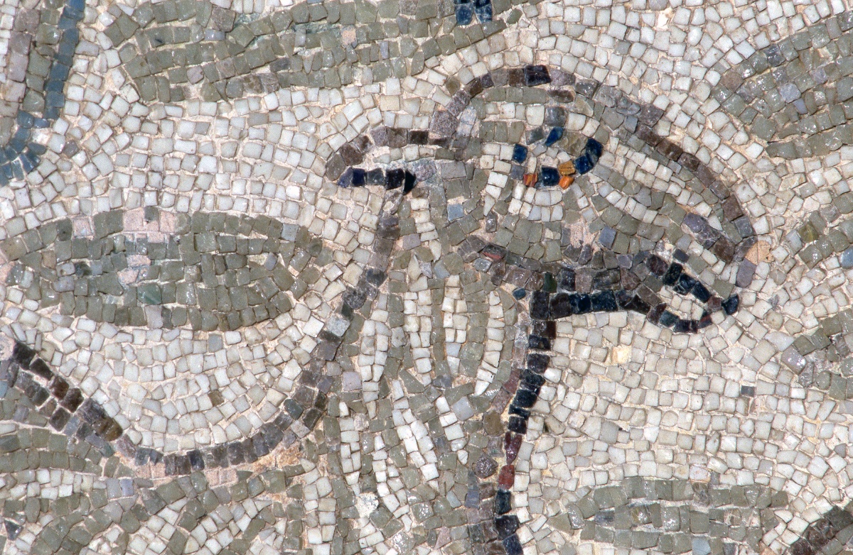 2018年1月31日月全食