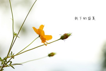 _DSC8710