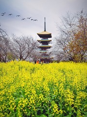 92241258-18DC-4BE5-97CC-4C44954F92C0/L0/001