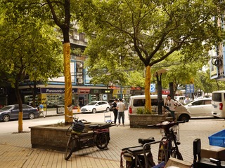 P1060270
