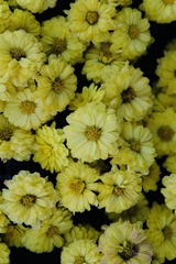 55B0E521-2F77-40EB-B89C-D15E87DC5F08/L0/001