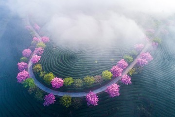 972219