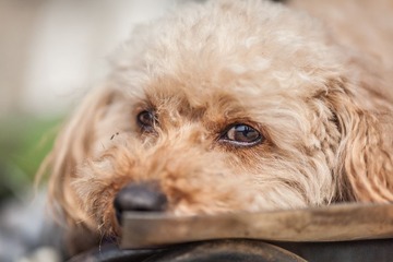 20170315-IMG_0013