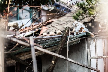 20170315-IMG_0036