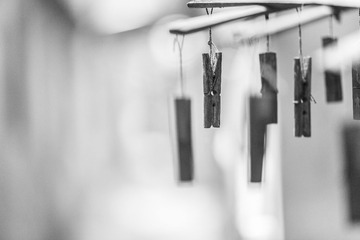 20170315-IMG_9978