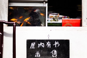 20170315-IMG_9984