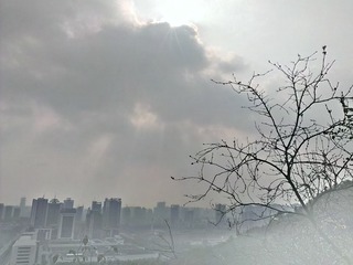 IMAG0943