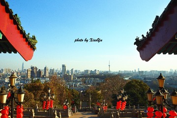 YUX_0767_