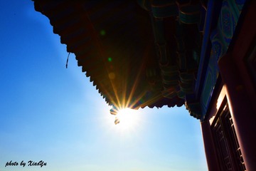 YUX_0471_