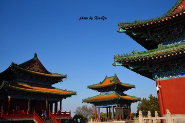 YUX_0300_