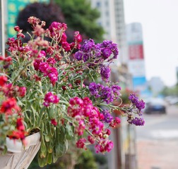 4C298C9A-0C59-4249-8EF4-BED06B377514/L0/001
