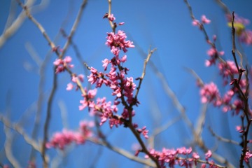 9B5E9E4B-5162-466A-B20C-85150DCAE142/L0/001