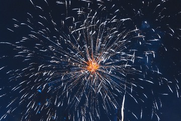 1000085207