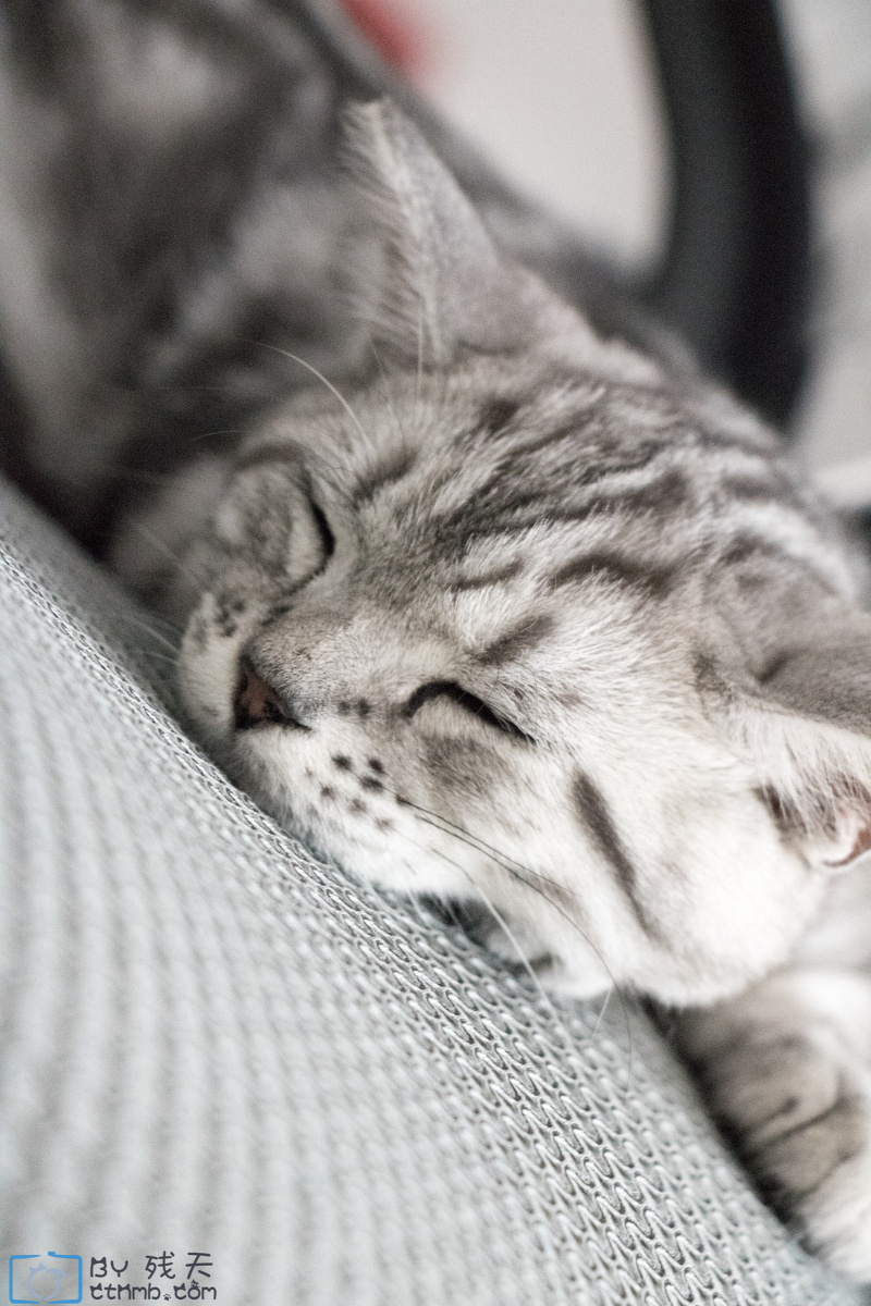 伟德国际大行评级丨招商证券国际：哔哩哔哩盈利前景持续改善 评级“增持”