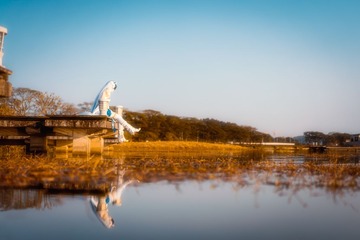 DSC05909-编辑-2