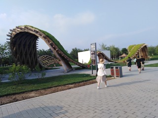 96654