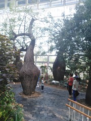 96646