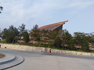96657