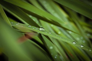 雨后