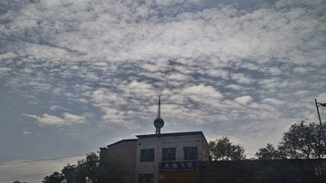 3144914