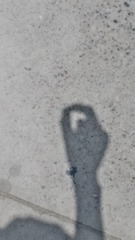 3124698