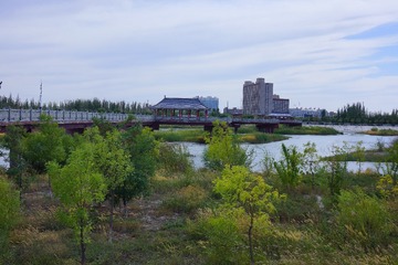 716050
