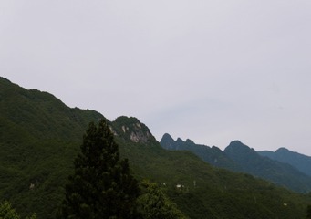 08E2574C-8450-43A4-8A8A-F3D950A1E019/L0/001