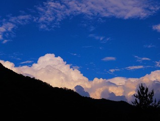 E6398E5E-61F6-4376-9EE3-08153331DF08/L0/001