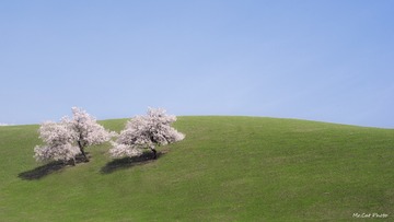 DSC_4281 拷贝