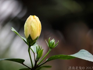 58043