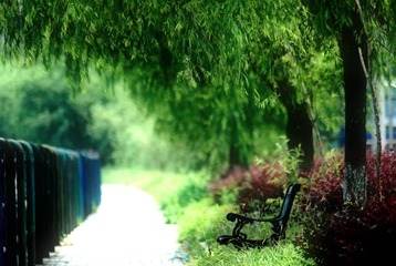 油画