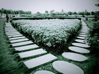 20090430-_DSC0032