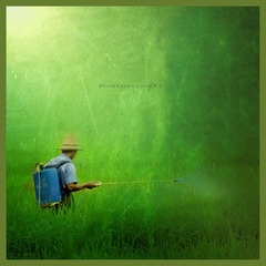 farmer@