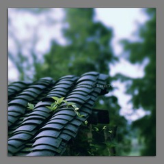 瓦