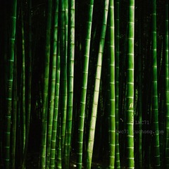 下午VI
