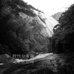 野竹分青霭