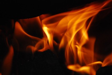 266019